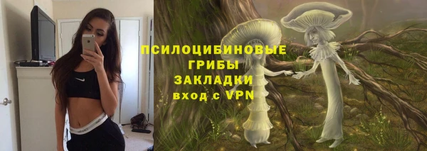 стаф Лабытнанги