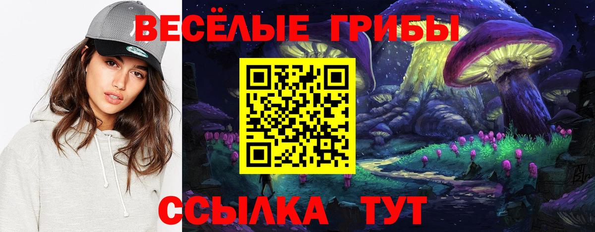 Галлюциногенные грибы Psilocybine cubensis Сердобск